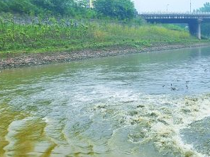 涞水污水清运多少钱